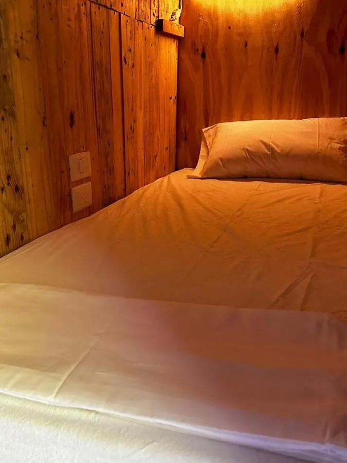 Hostel Tropico 20 Pdc 普拉亚卡门