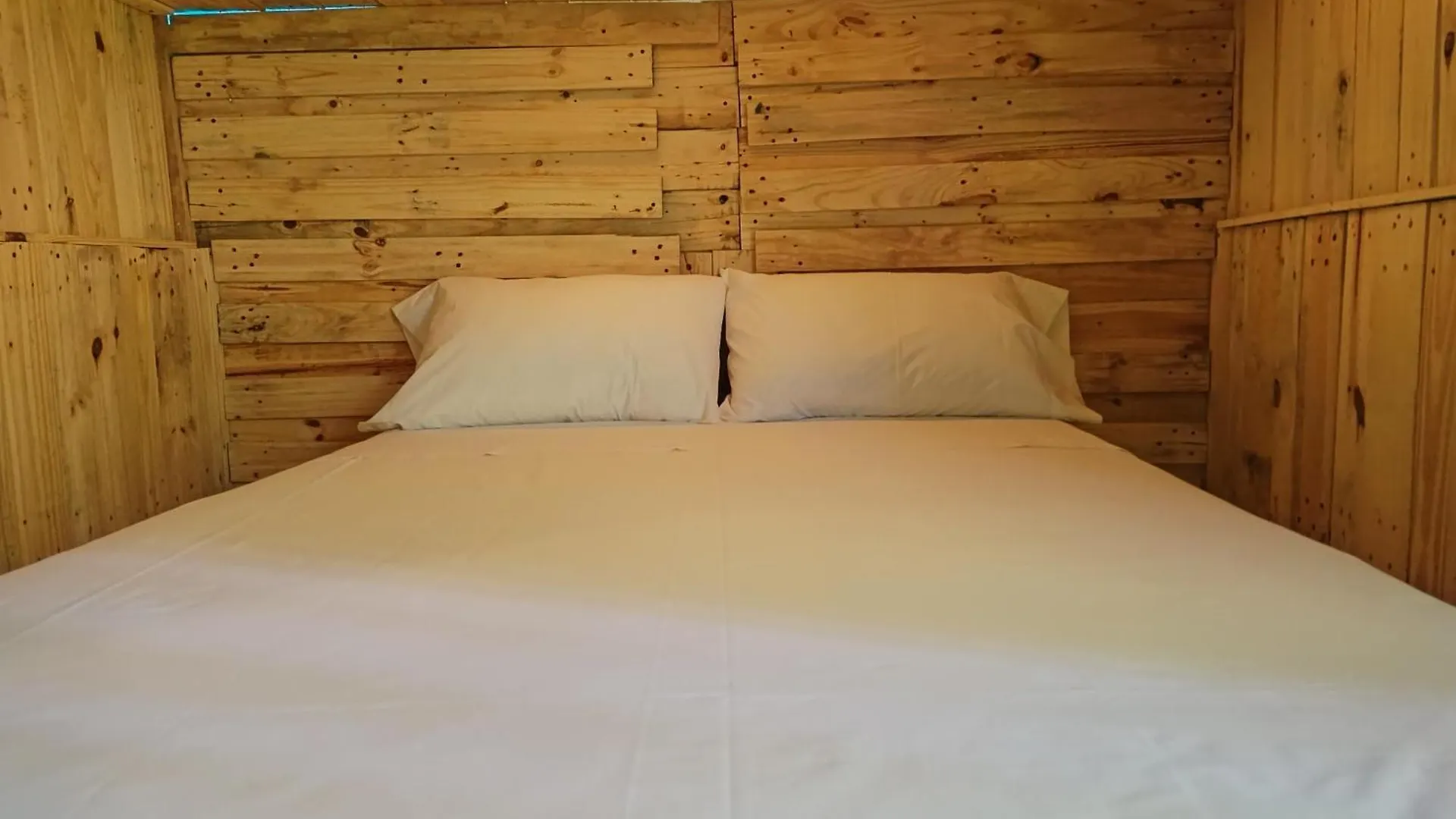 Hostel Tropico 20 Pdc 普拉亚卡门 墨西哥