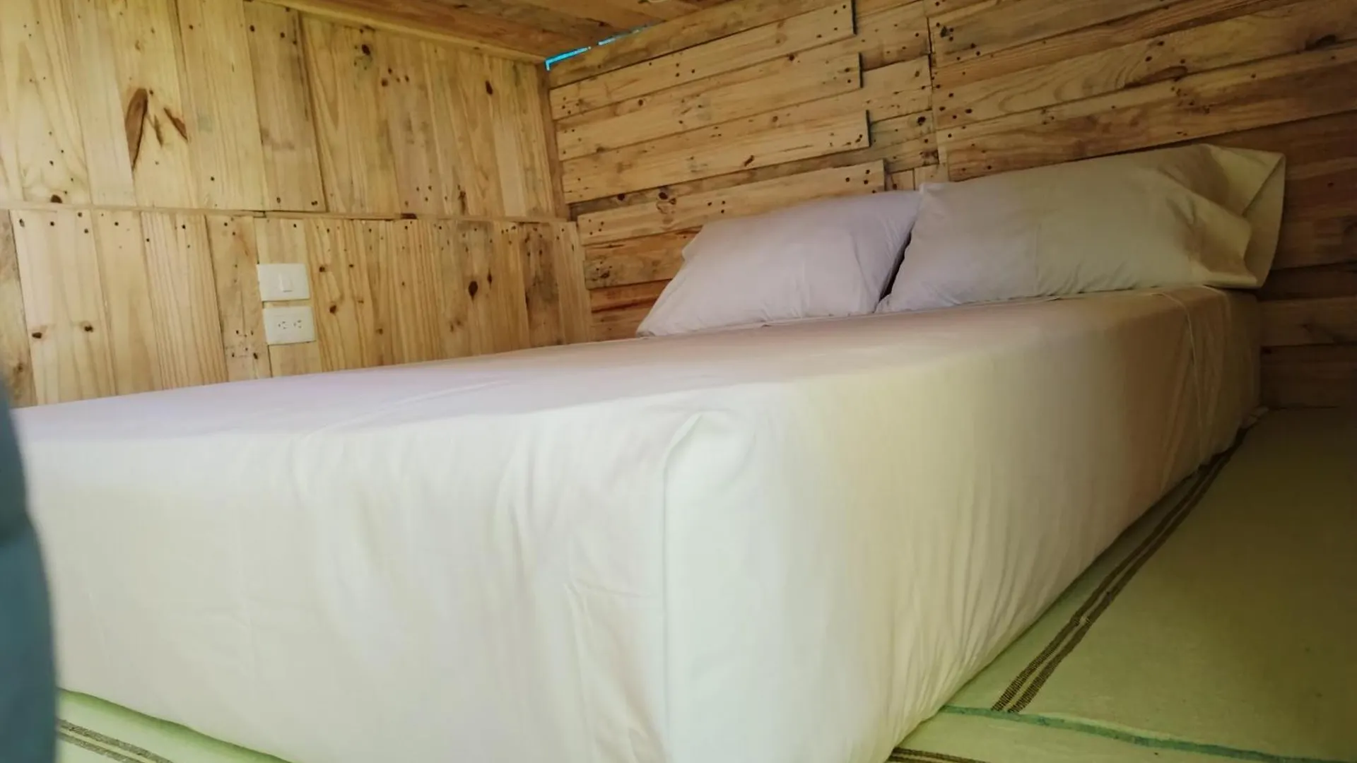Hostel Tropico 20 Pdc 普拉亚卡门
